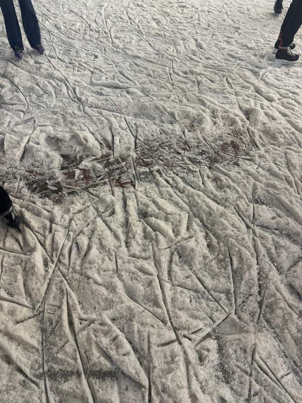 Карагандинцы пожаловались на состояние линейного катка в Центральном парке