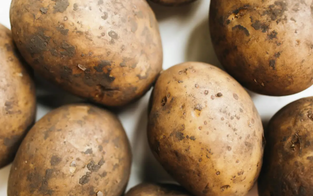 Көктемде картоптың сату бағасы кг үшін 185 теңгеден аспайды - Ауыл шаруашылығы министрлігі