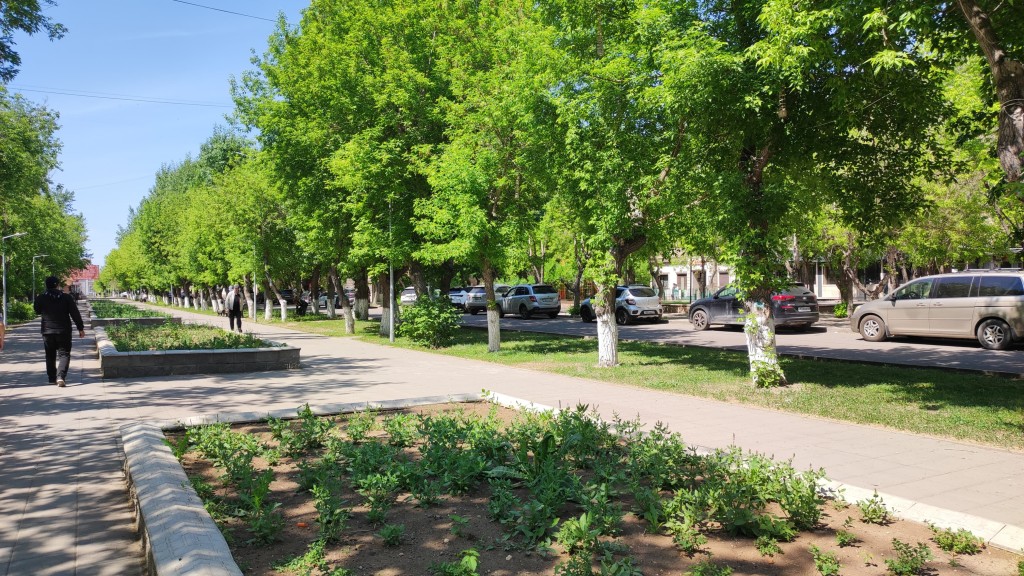 Озеленение продолжается: 1,5 миллиона цветов должно появиться в Караганде