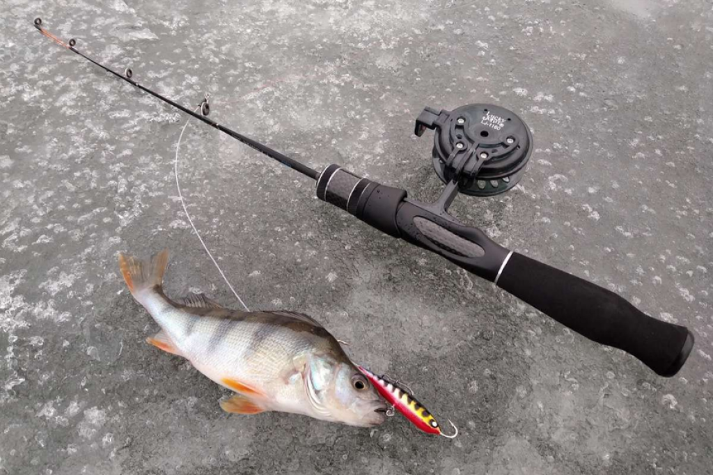 Рыболовные сети в Казахстане оснастят QR-кодами