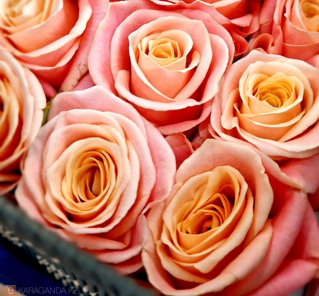 Қазақстанға гүл импорты 11 ға қысқарды%