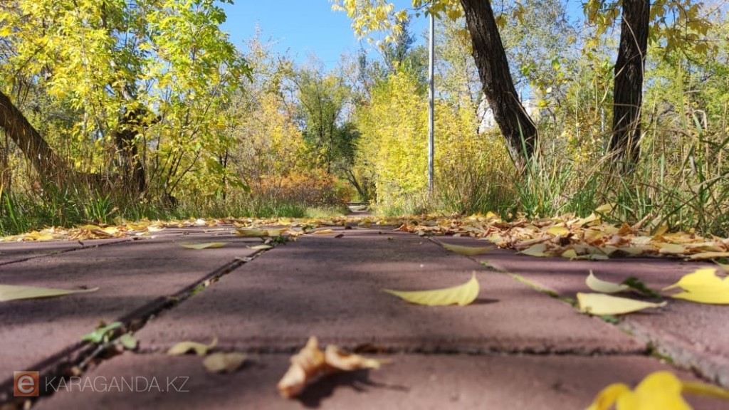Долгожданное тепло, мороз и осадки: синоптики рассказали о погоде в Казахстане на 18-20 октября