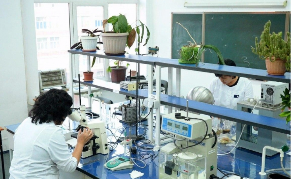 Казахстанские ученые нашли способ экономии воды с помощью защиты семян