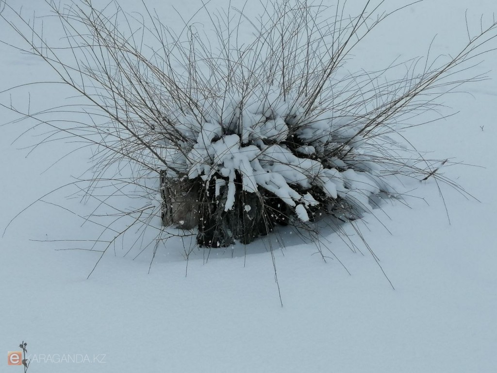 Жел, қар және көктайғақ: 6 наурызда Қарағанды мен облыста ауа райы қандай болады