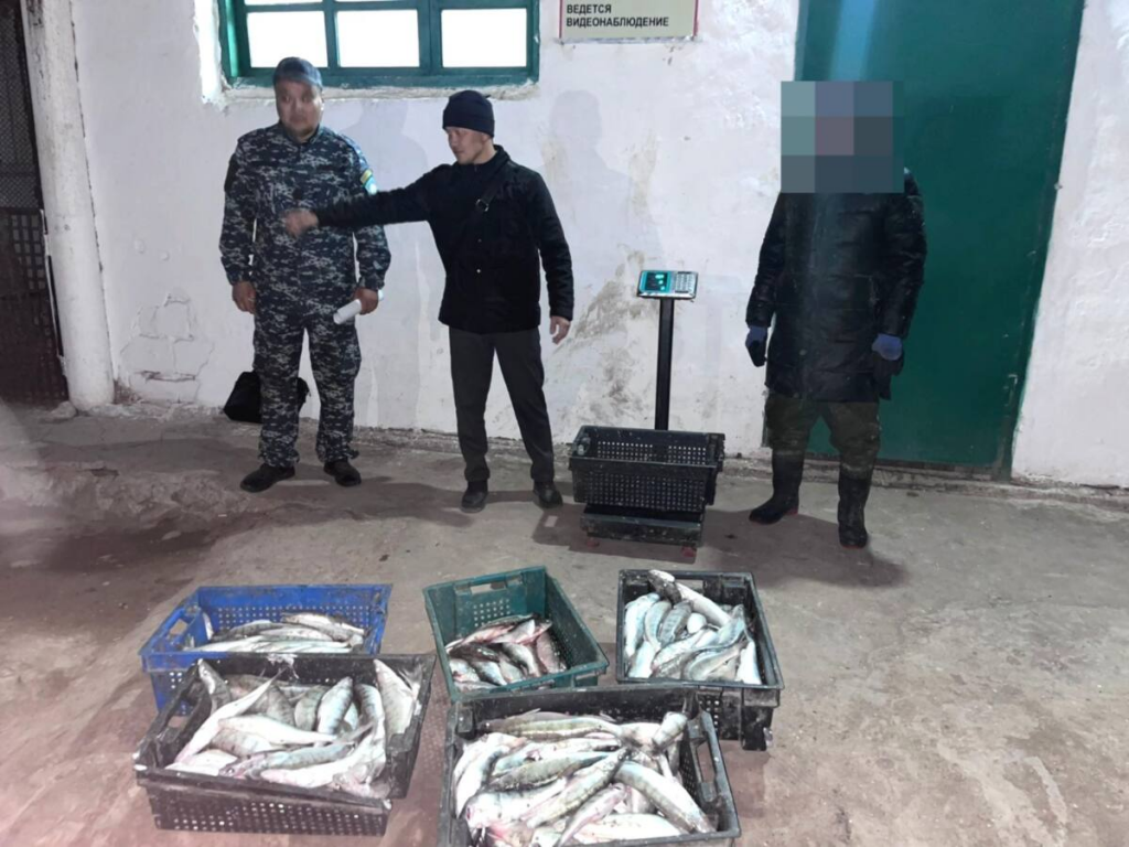 Браконьерская деятельность пресечена на озере Балхаш