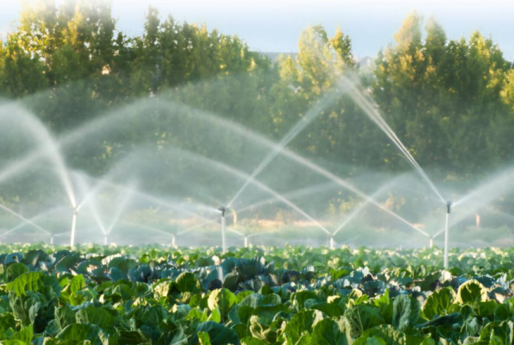 Сколько воды тратят на нужды сельского хозяйства в Казахстане