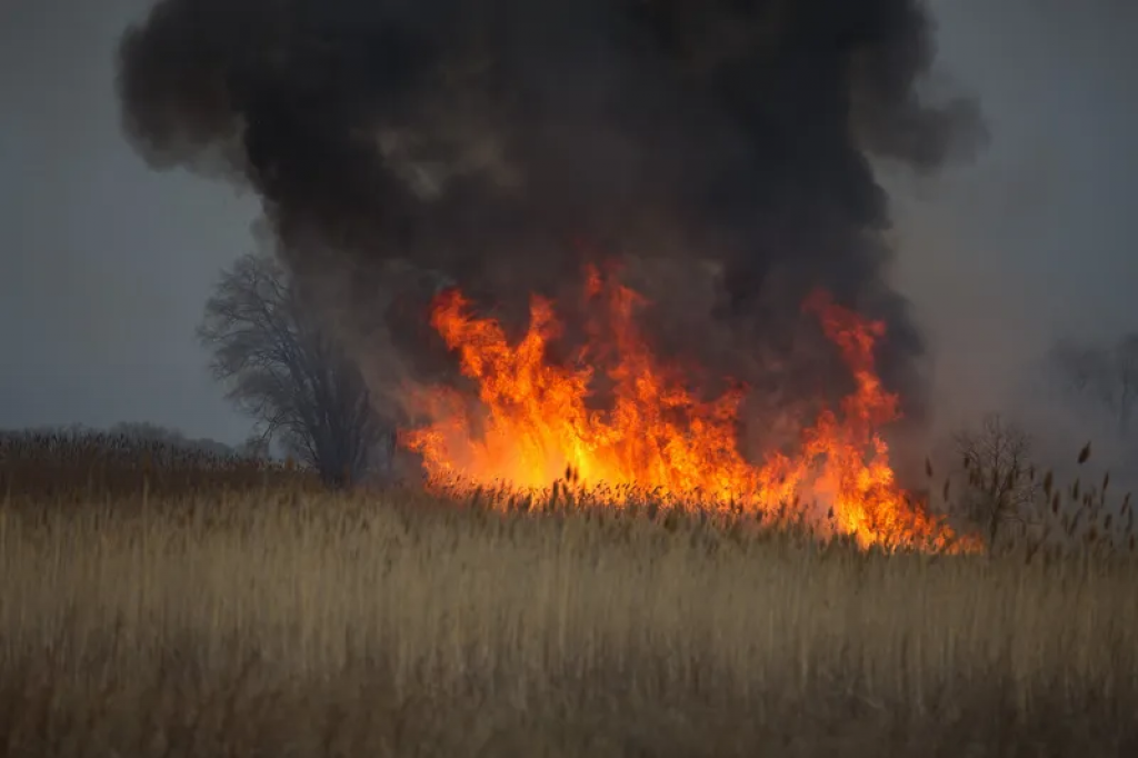 В Минэкологии обратились к казахстанцам из-за степных пожаров