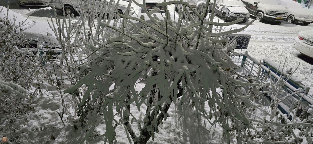 Как меняется климат в Казахстане: комментарий «Казгидромета»