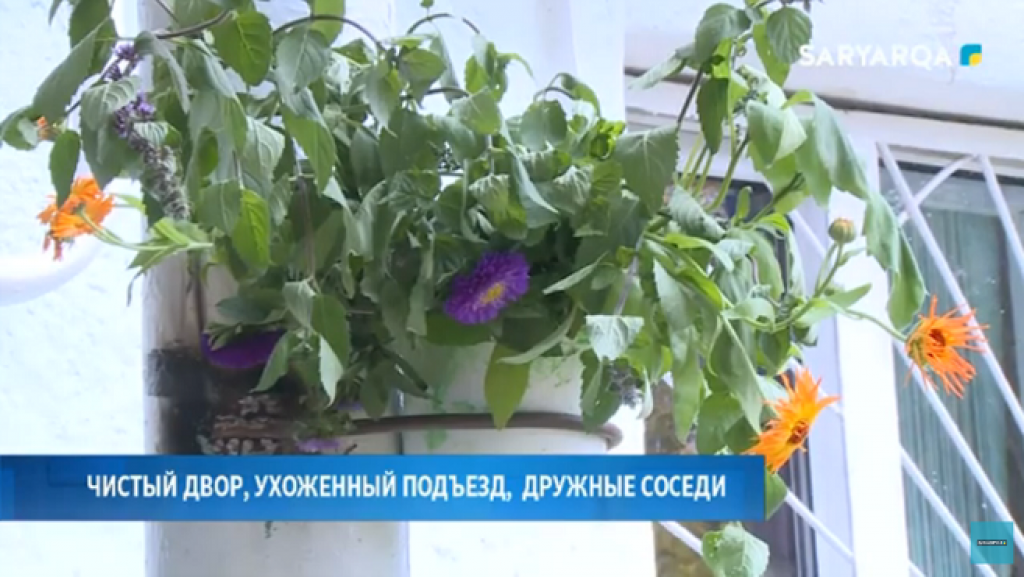 Чистота - залог здоровья: данный принцип соблюдают жители проспекта Строителей города Караганды