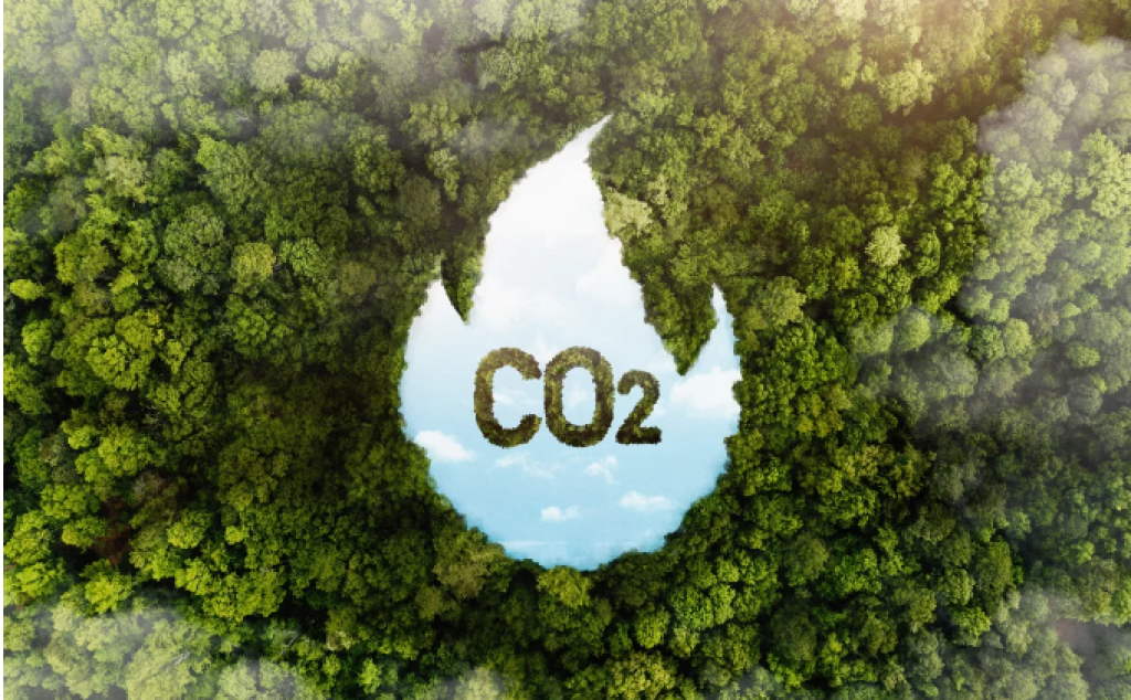 В Казахстане разработали метод улавливания углекислого газа из воздуха