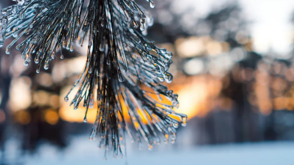 Мороз и тепло до +15°С: резко континентальный климат почувствуют жители Казахстана