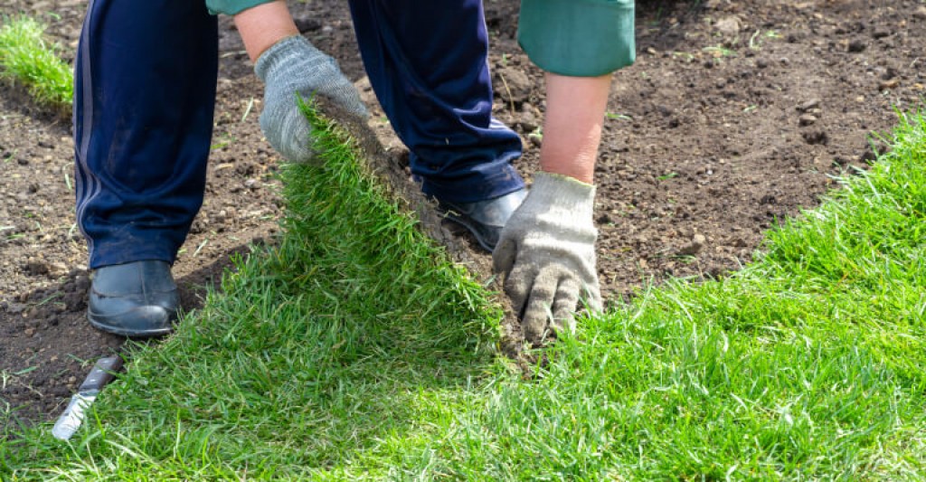 В городе должно быть только три покрытия: асфальт, брусчатка, трава – аким Караганды
