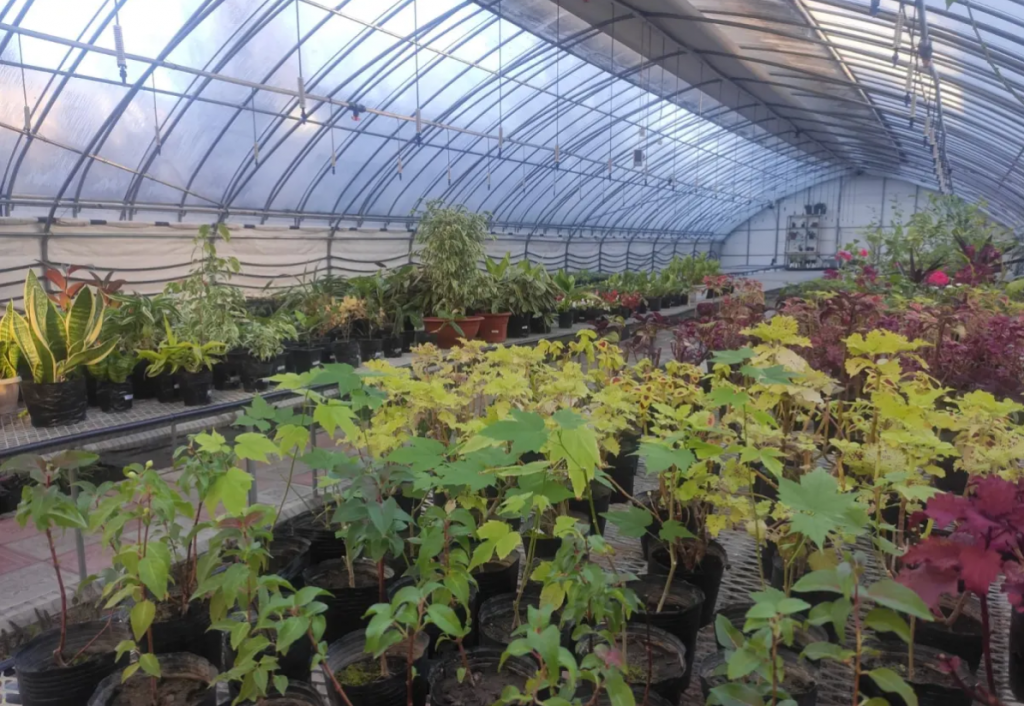 Казахстанские ученые разработали метод выявления опасных патогенов у растений