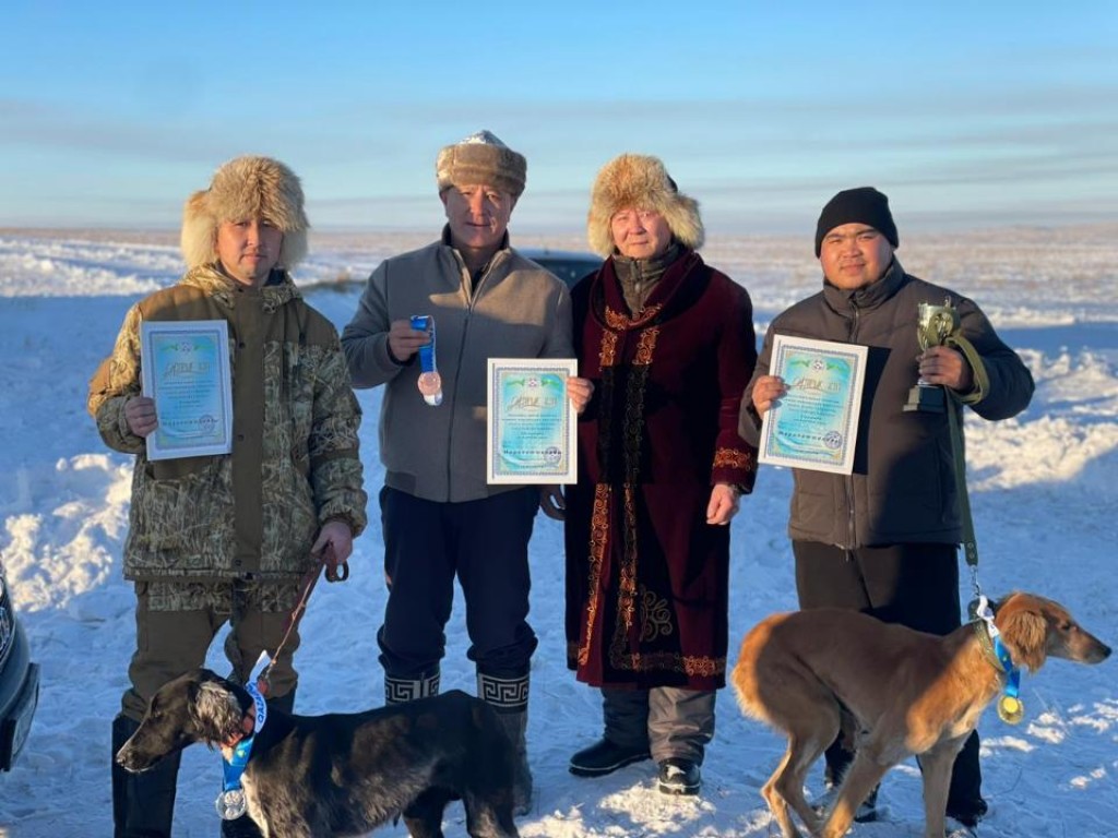 «Шырға тарту»: в Карагандинской области выбрали самого быстрого щенка тазы
