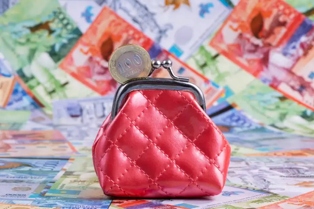 Пенсионные выплаты за счет обязательных взносов работодателя: разработаны правила