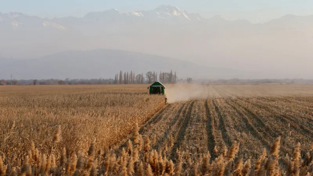 Новые тарифы на поливную воду разрабатывают в Казахстане