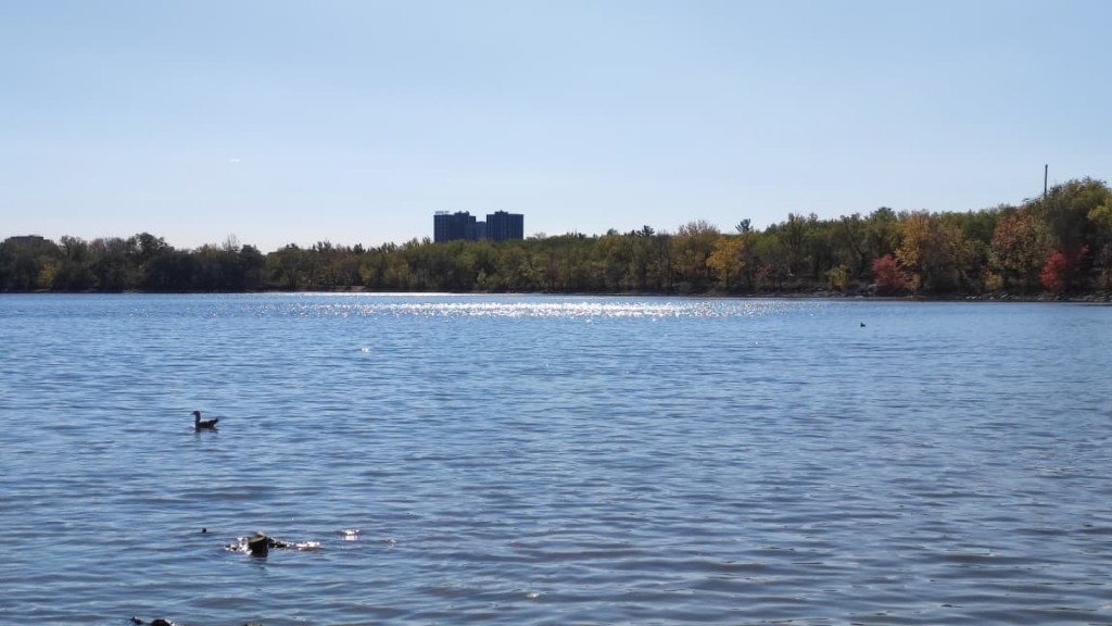 В Центральном парке Караганды подкармливают рыб