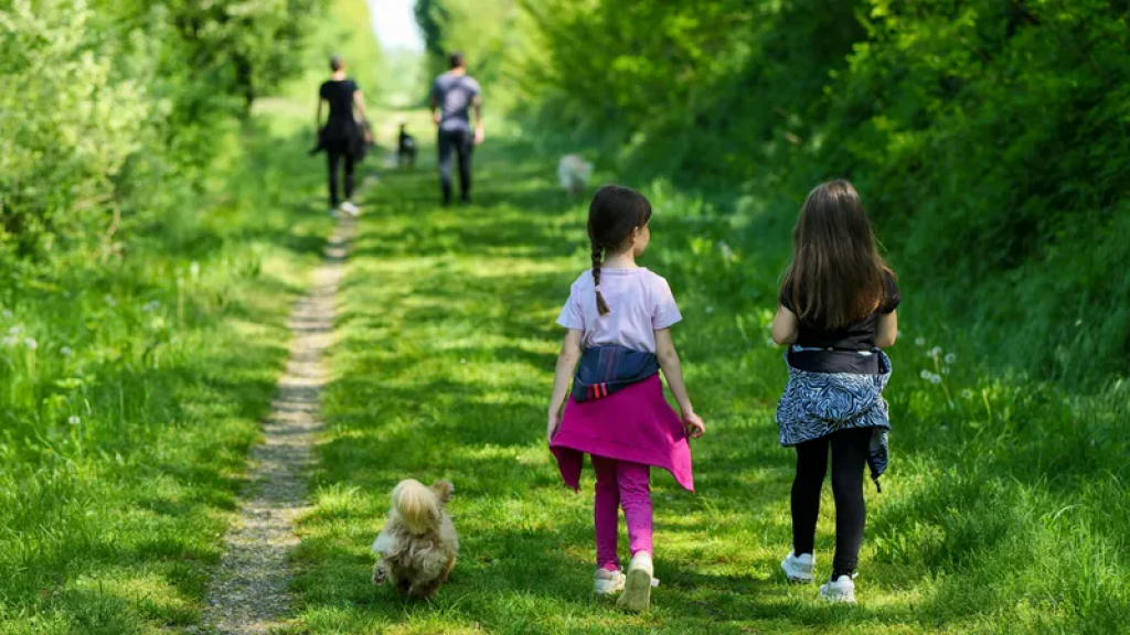 Учет детей-сирот, гостевая семья: внесены изменения в правила