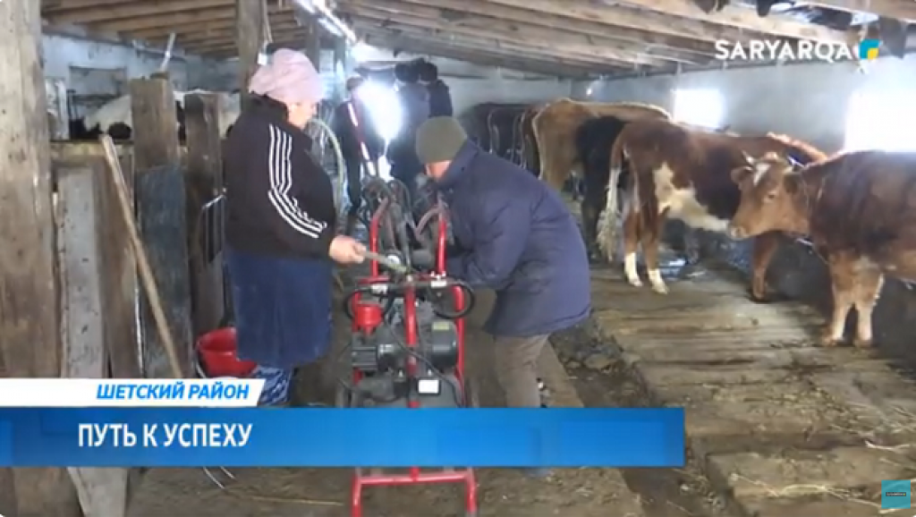 Путь к успеху: житель Шетского района начал выращивать голштинскую породу коров