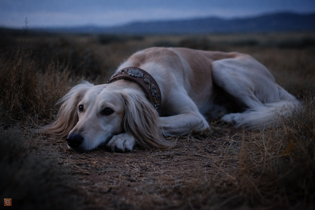 Новый праздник появился в Казахстане