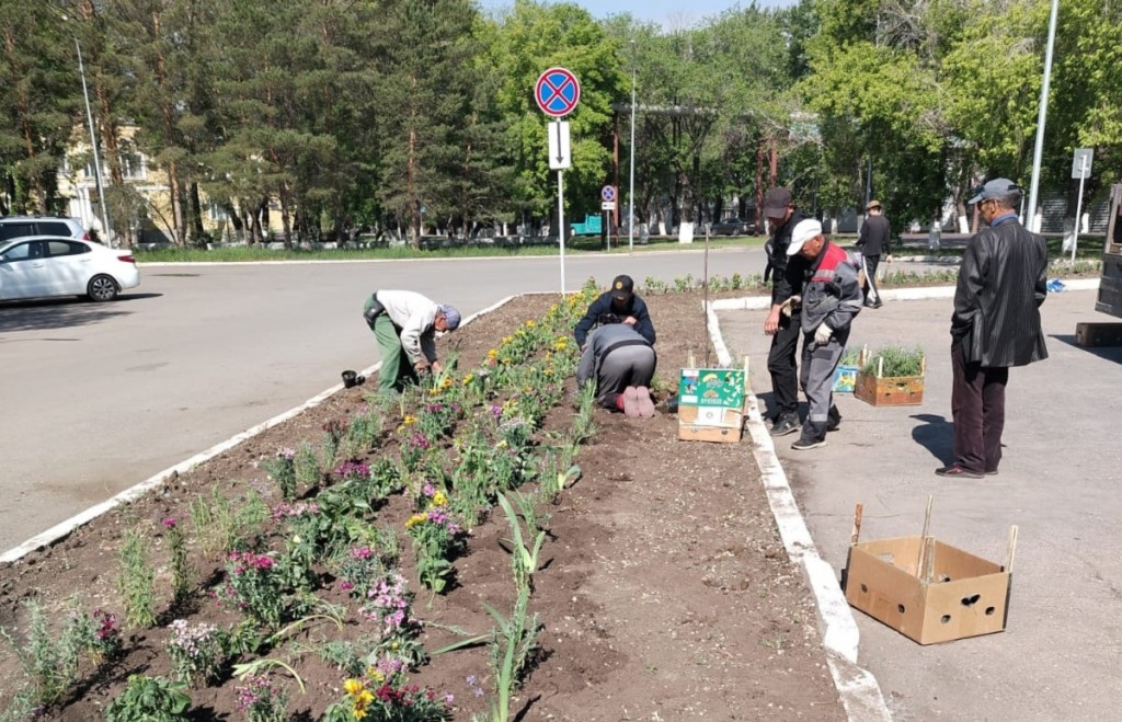 В Караганде вновь начали сажать многолетние цветы