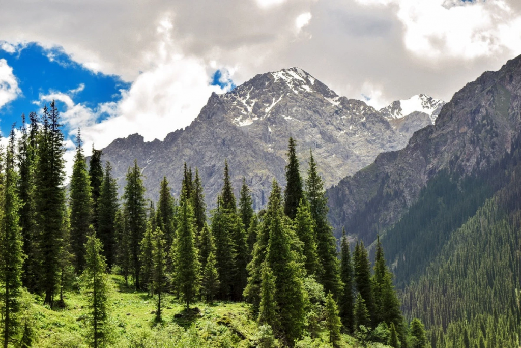 Күлкілі эротиканы қараңыз Ерлі-зайыптылар порно фильмдері