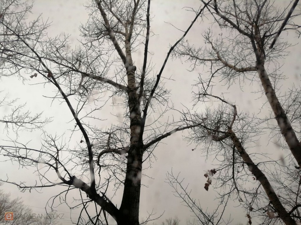 16 сәуірдегі ауа-райы: Қарағанды мен облыста қатты суық және жауын-шашын болады деп күтілуде