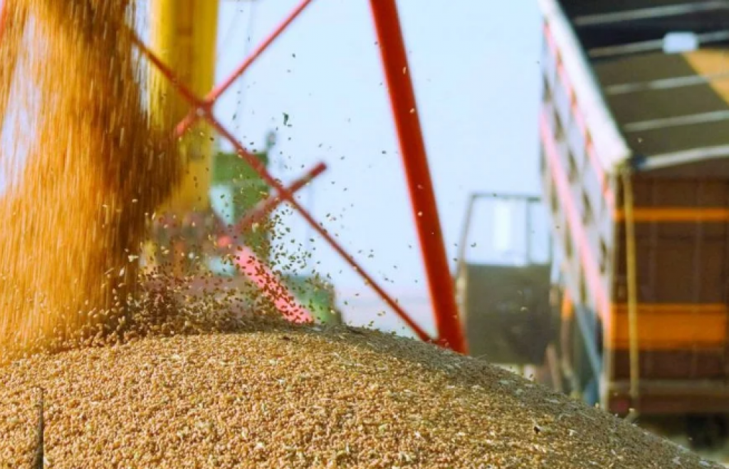 Названы регионы-лидеры Казахстана по запасам зерна