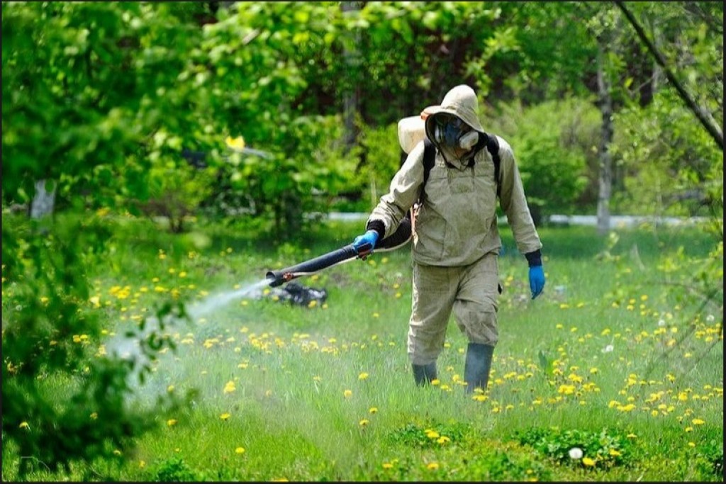 Территорию Центрального парка Караганды обработают от клещей