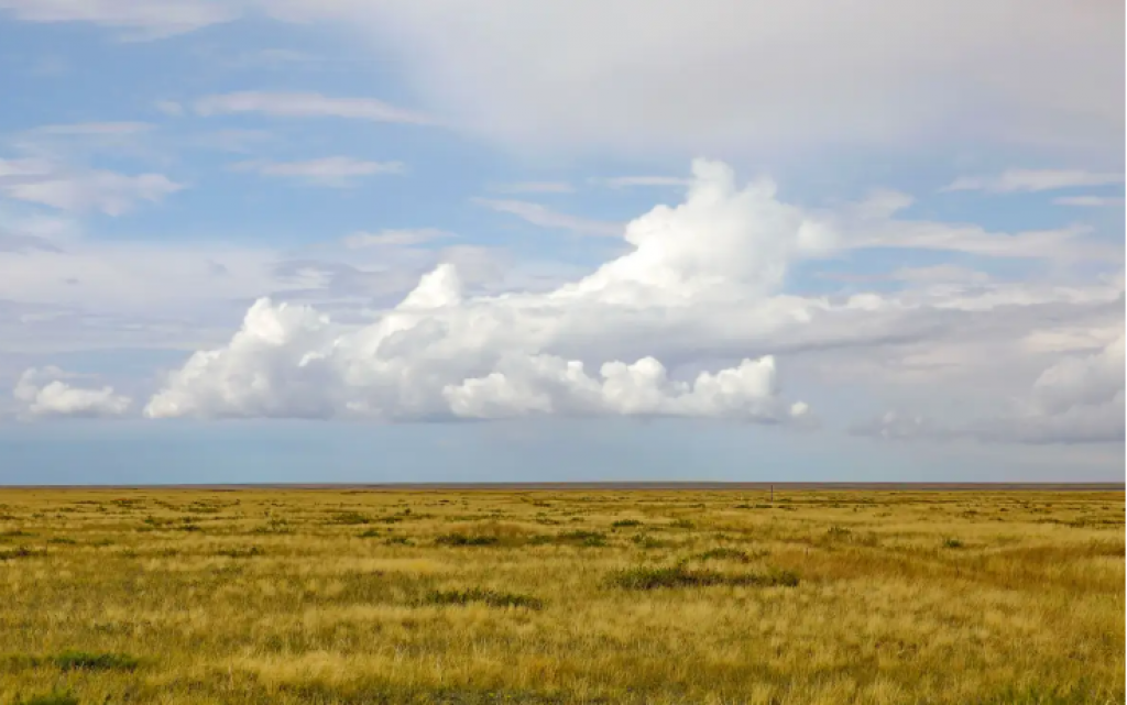 Почти 30 млн гектаров земель в Казахстане подвержены деградации