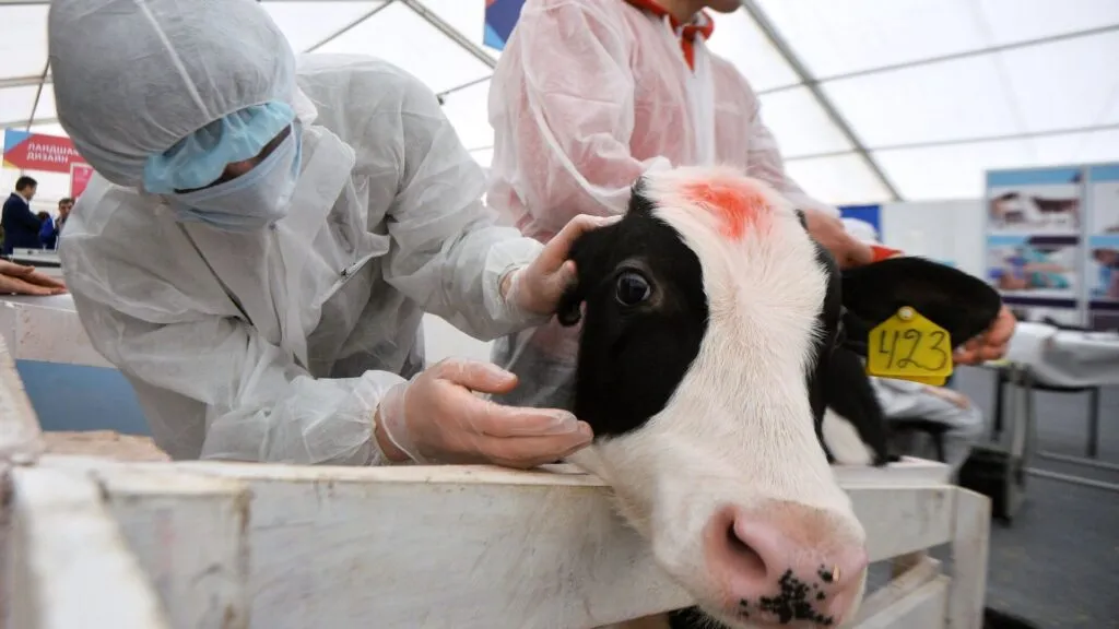 Когда в Казахстане реформируют ветеринарную службу, ответил министр