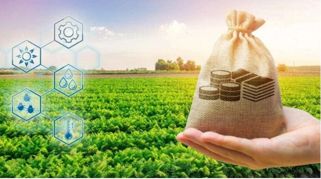 Казахстанцы смогут знать, на что конкретно идут госсредства