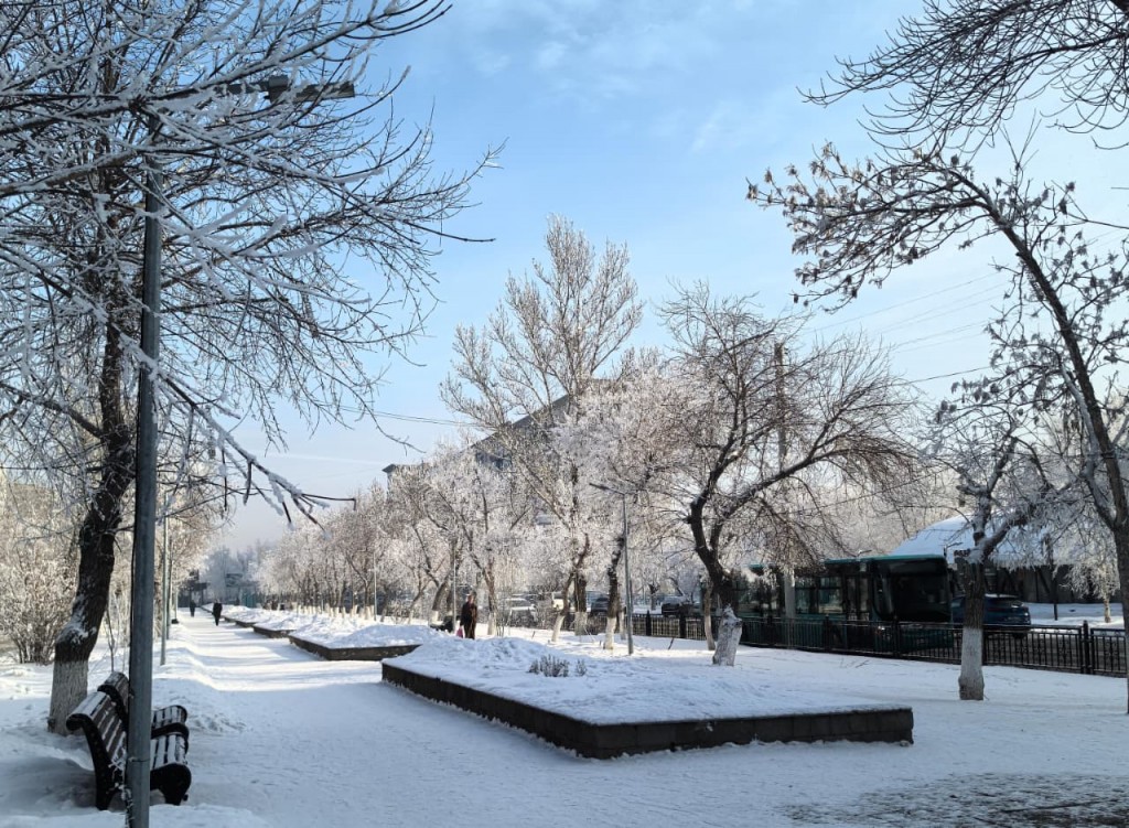 Сказочная зима в Караганде
