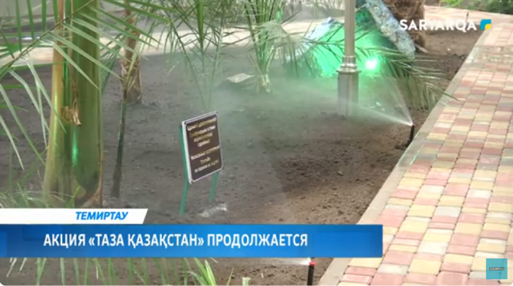 В зимнем саду Темиртау установили автополив