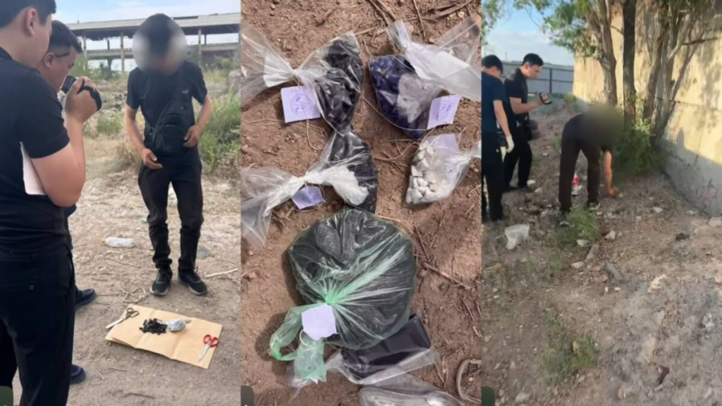 Наркокурьер с 287 закладками задержан в Карагандинской области