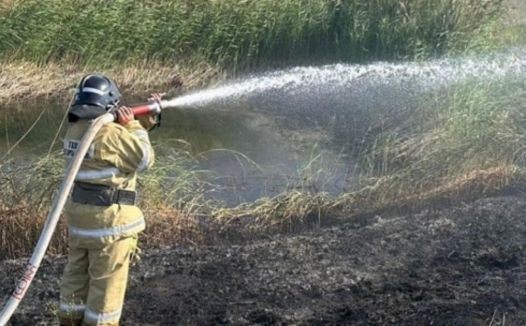 В Шетском районе Карагандинской области потушили большую часть природного пожара