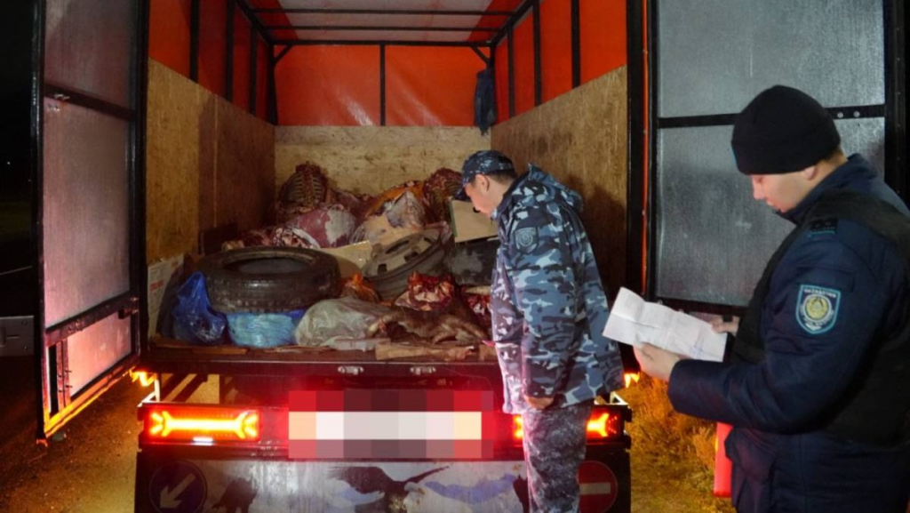 Установлены мобильные посты для предотвращения краж скота в Карагандинской области