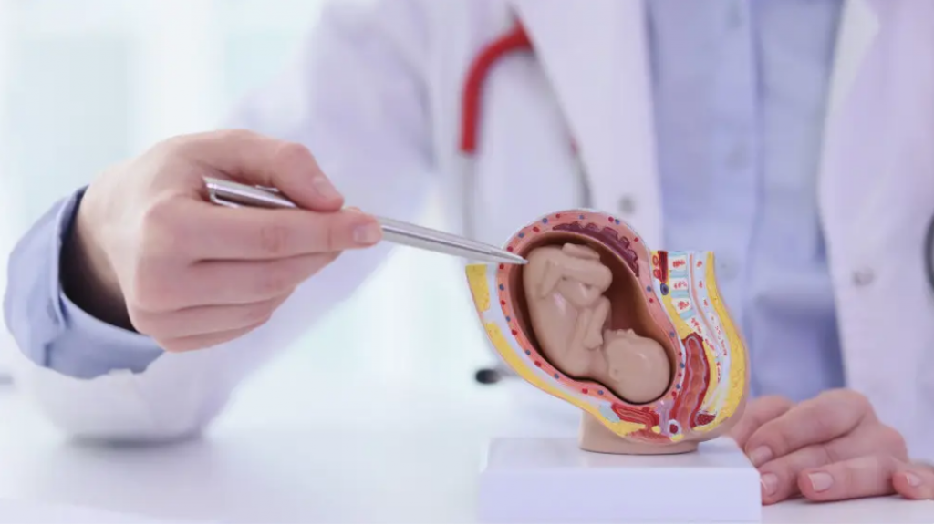 Новость о введении в Казахстане налога на бездетность прокомментировал депутат