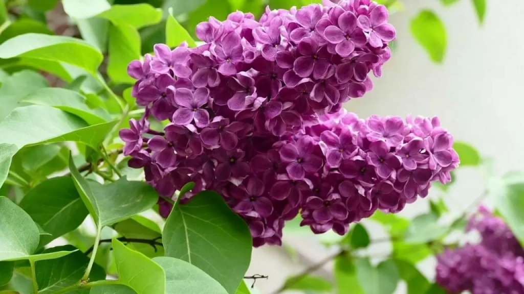 Как казахстанцы отдохнут в мае 2025 года