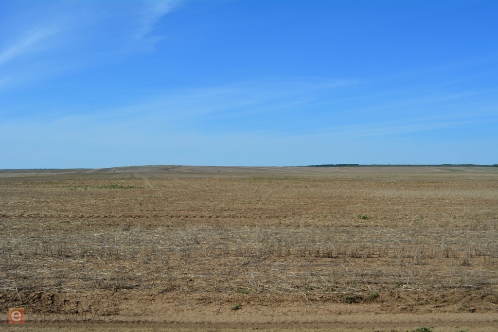 Три важнейшие земельные услуги стали проще для казахстанцев