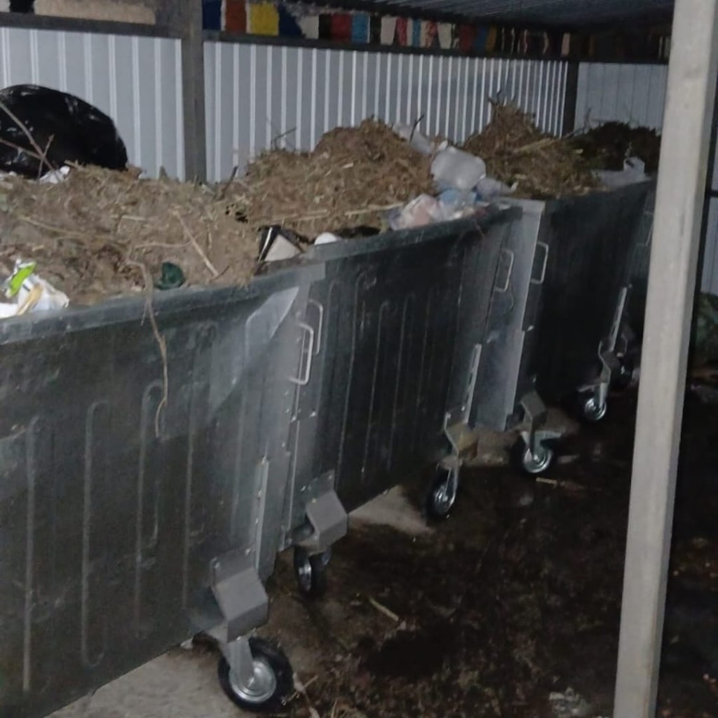 Карагандинцев просят не выкидывать сухие листья и ветки в мусорные баки