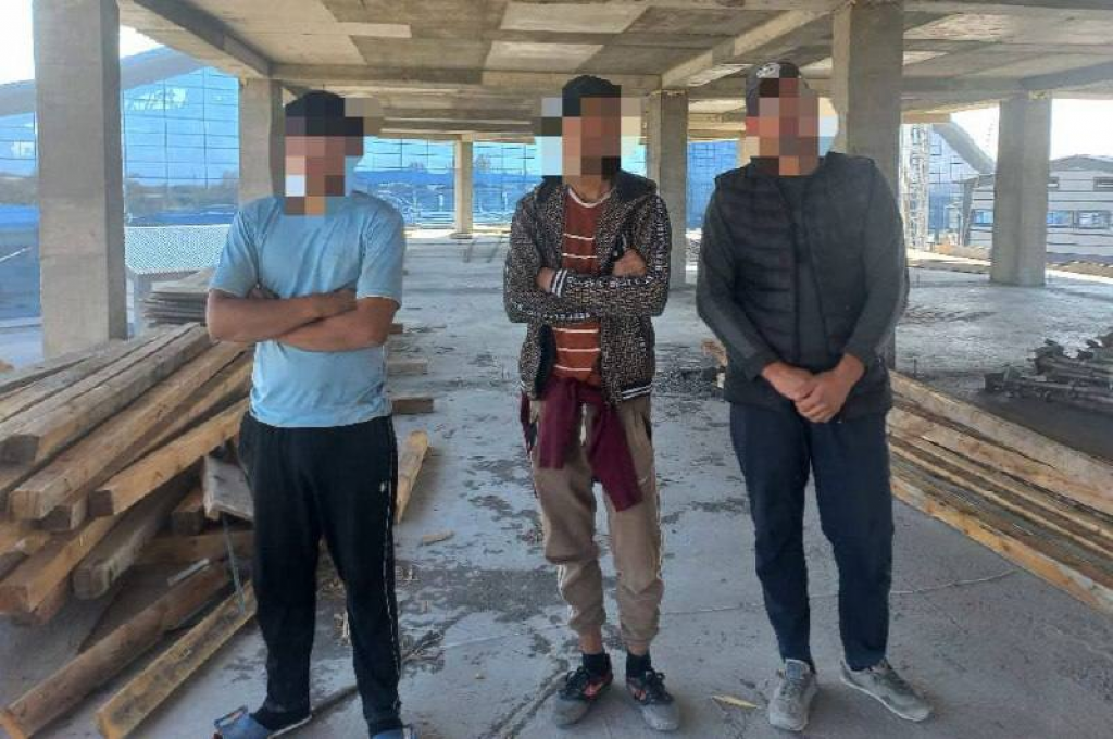 Көші-қон заңнамасы БАҚЫЛАУДА: