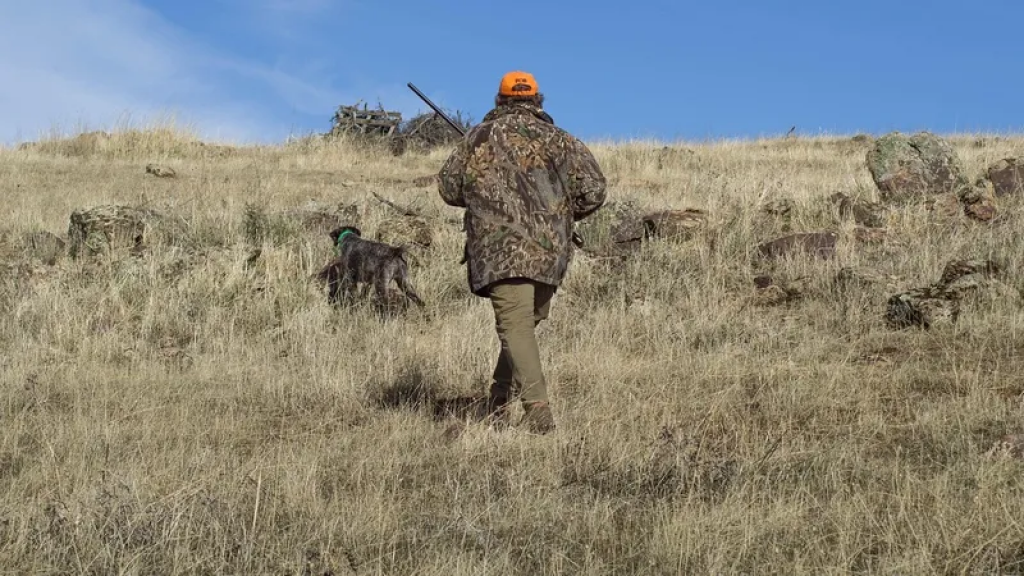 В Казахстане установили новые лимиты на охоту на животных и птиц