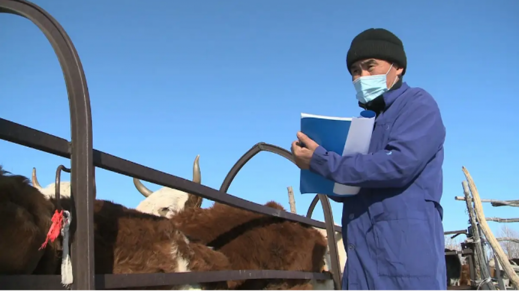 Около 300 млрд тенге выделено на подготовку ветеринаров в Казахстане