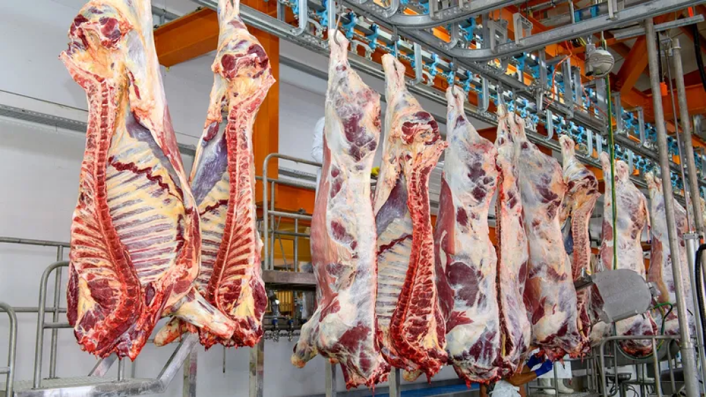 Почему в Казахстане подорожало мясо