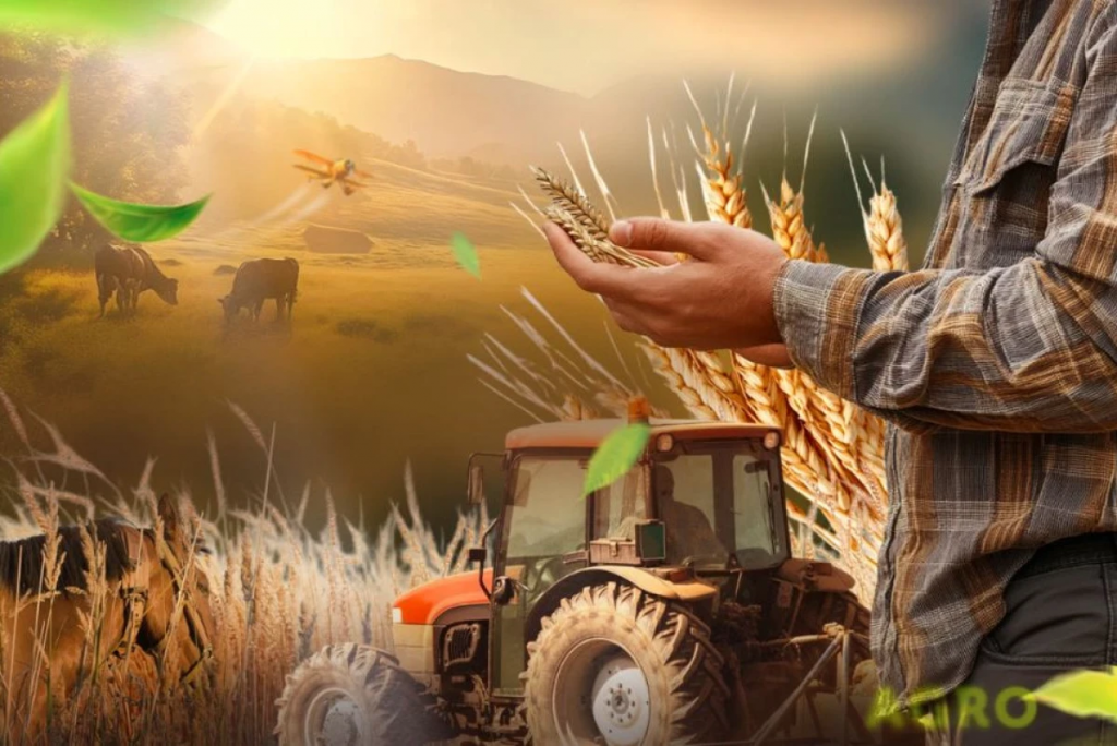 Национальная сельскохозяйственная перепись стартует 1 августа