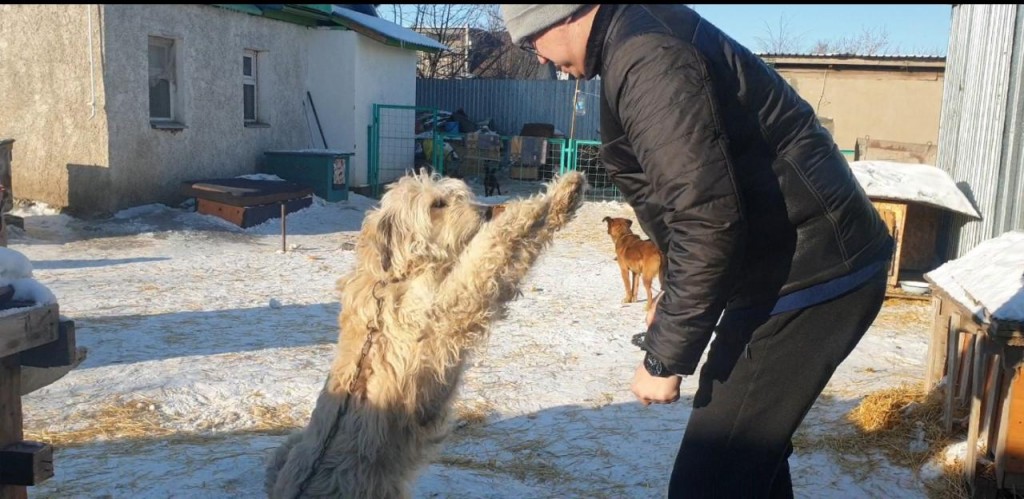 Состоящие в клубе ЮНЕСКО учебные заведения Карагандинской области оказывают благотворительную помощь