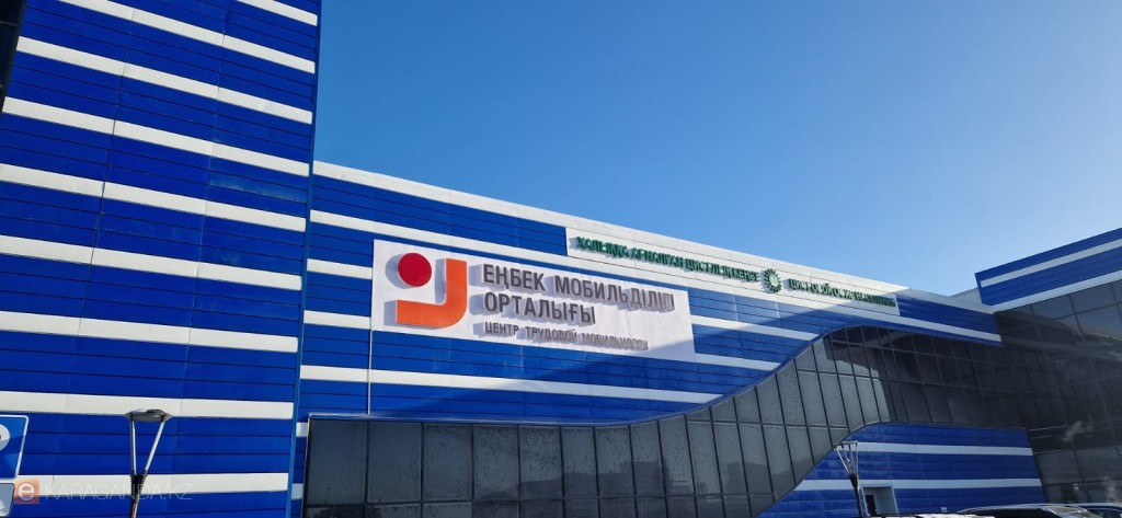 В 2024 году в Центр трудовой мобильности региона обратились больше 55 тысяч человек