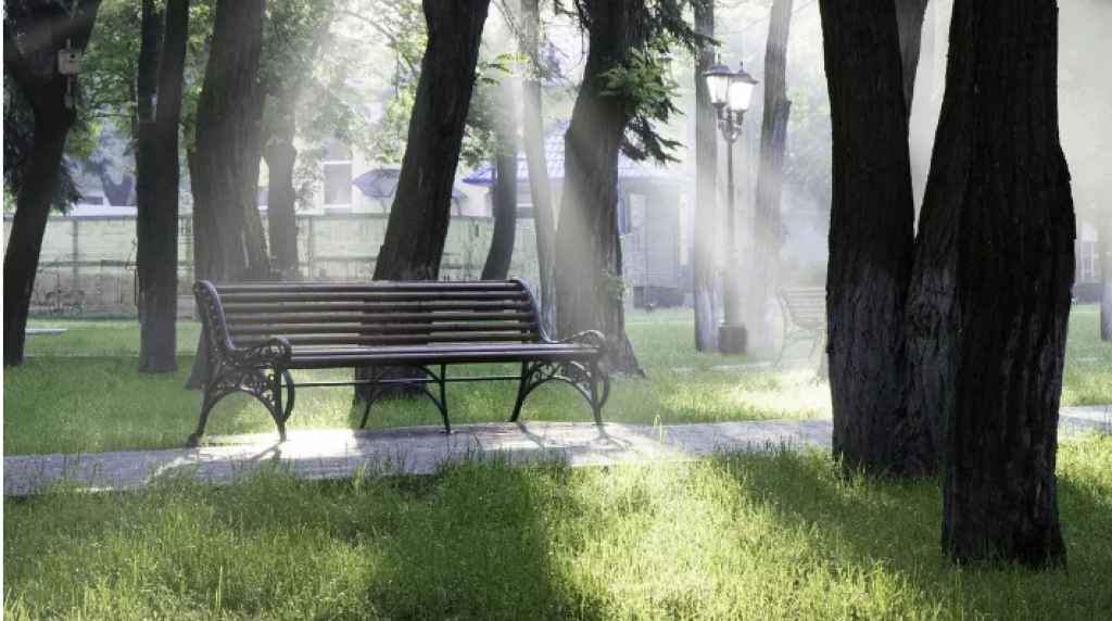 Карагандинцев отправили в колонию после прогулки по центральному парку