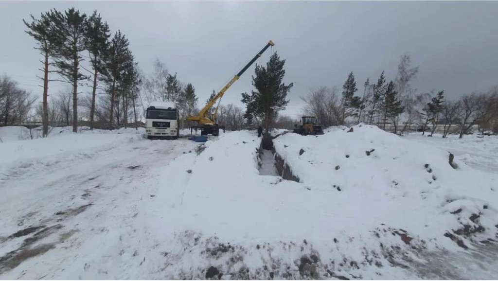 В Караганде незаконно пересаживали деревья